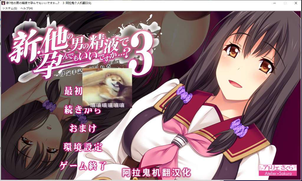 【ADV/汉化/绿帽】新·其他男人的O液真的可以用来造宝宝吗？1~3云汉化版 [安卓+PC]【3.5G】