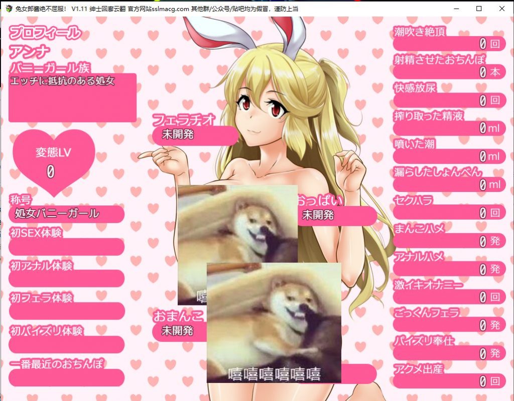 【RPG/汉化】兔女郎酱绝不屈服~圣石技师冒险谭 V1.11 云汉化版 付CG包【2.1G/新汉化/全CV】