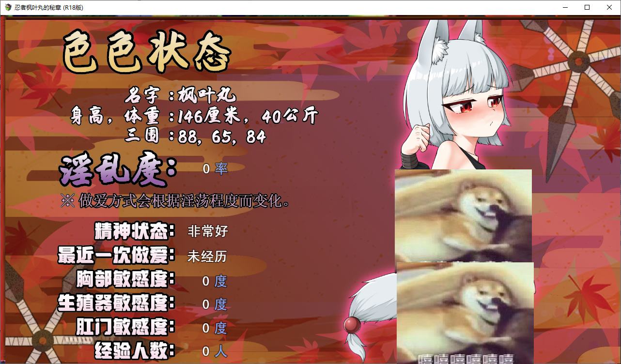 【日式ARPG/中文】忍者枫叶丸的秘章 官中步兵版 【新作/790M】